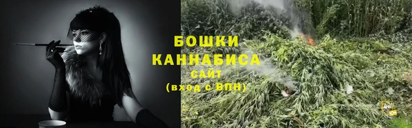 спайс Чита