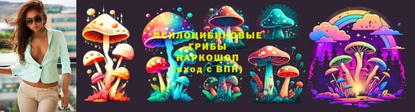 тгк Надым