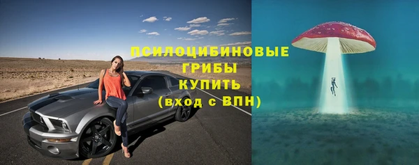 дурь Михайлов