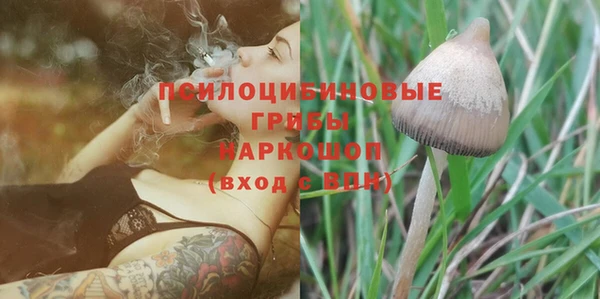 Альфа ПВП Архангельск