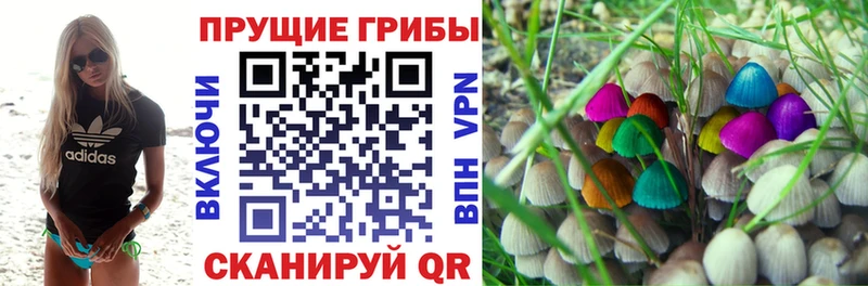 цены   Берёзовка  MEGA вход  Псилоцибиновые грибы MAGIC MUSHROOMS 